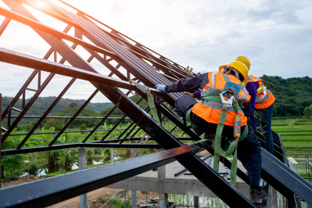 Best Roof Gutter Cleaning  in Logansport, LA