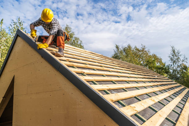 Best Roof Gutter Cleaning  in Logansport, LA