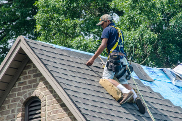 Best Local Roofing Companies  in Logansport, LA